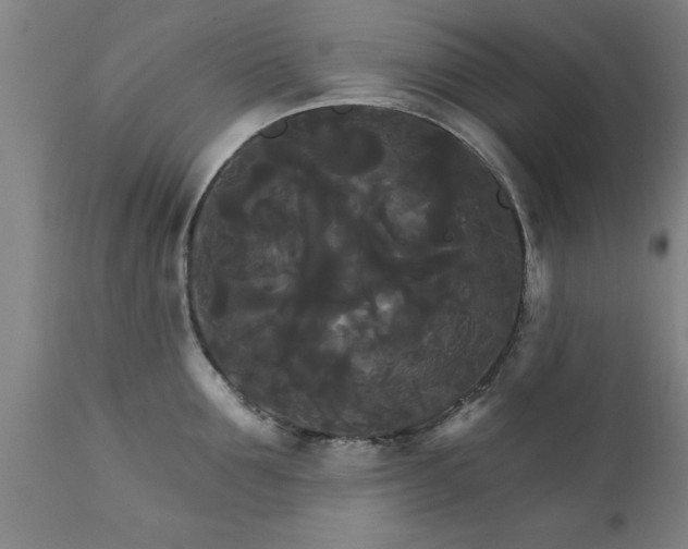 X0000111820907200907301254