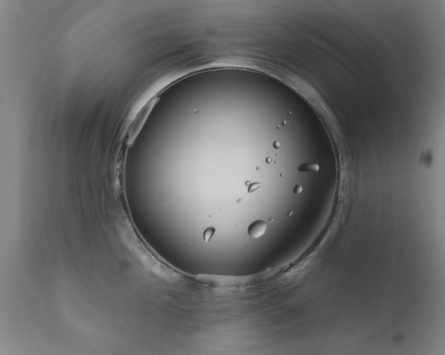 X0000111820908200907301254