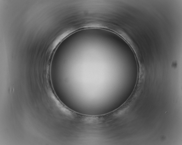 X0000111820909200907301254