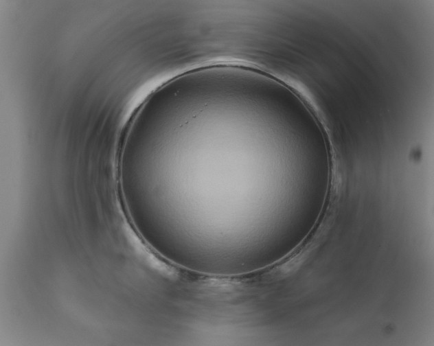 X0000111820910200907301254