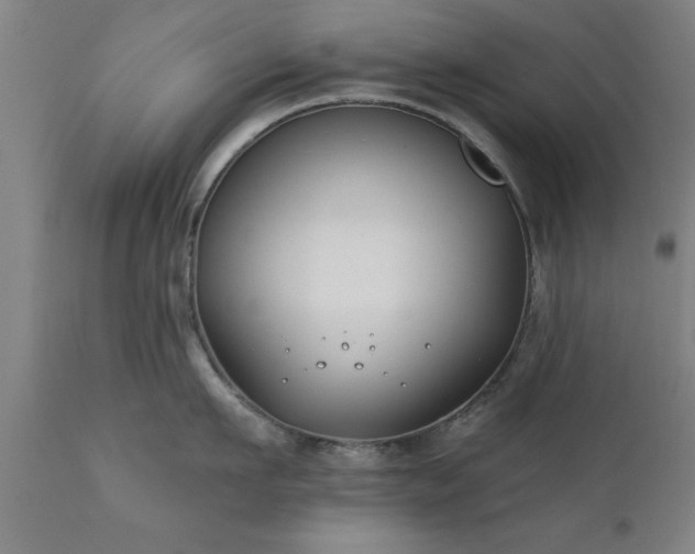 X0000111820911200907301254