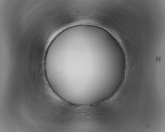 X0000111820912200907301254