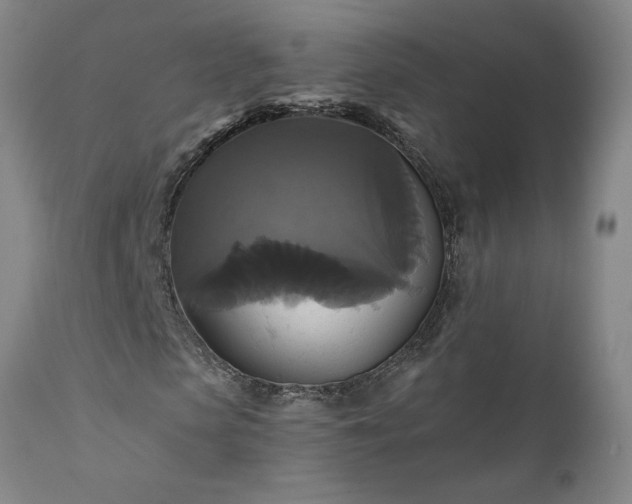 X0000111820913200907301253