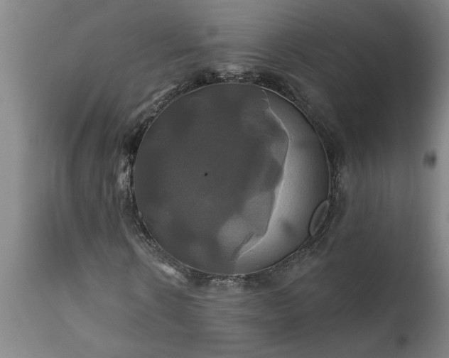 X0000111820914200907301253