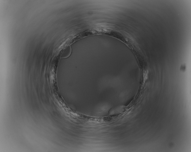 X0000111820915200907301253