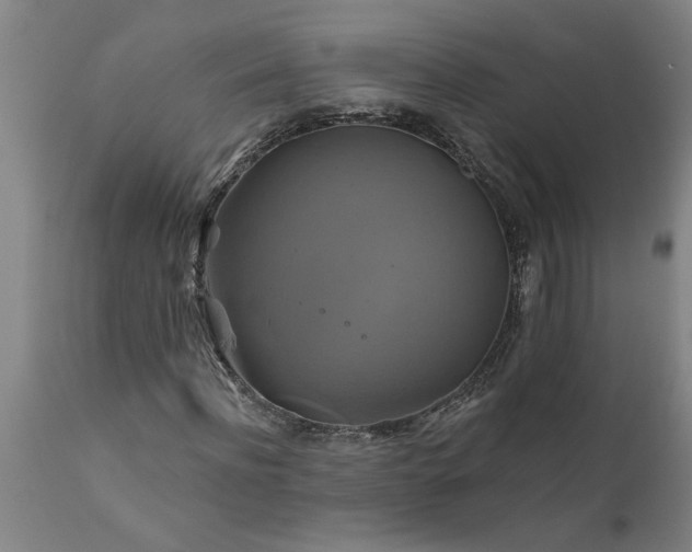X0000111820916200907301253