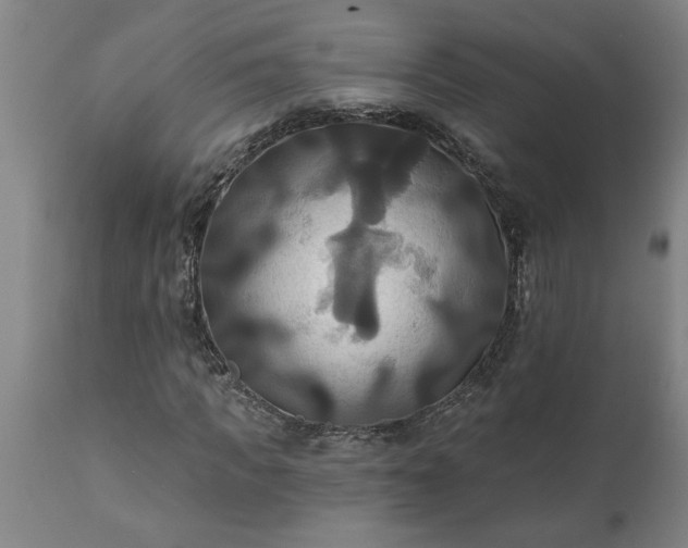 X0000111820917200907301253