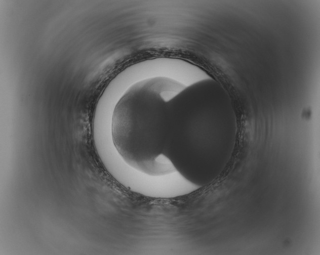 X0000111820918200907301253