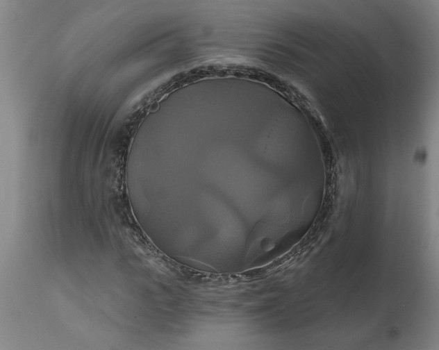 X0000111820919200907301253