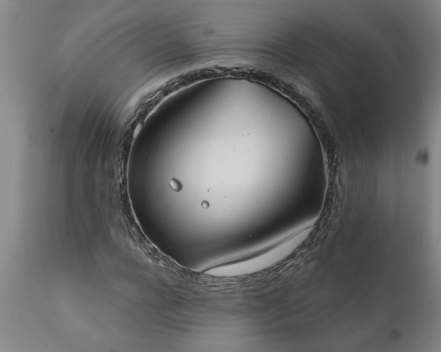 X0000111820920200907301253