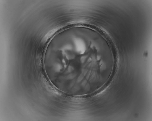 X0000111820921200907301253