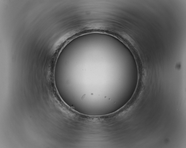 X0000111820922200907301253