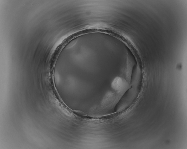 X0000111820923200907301253
