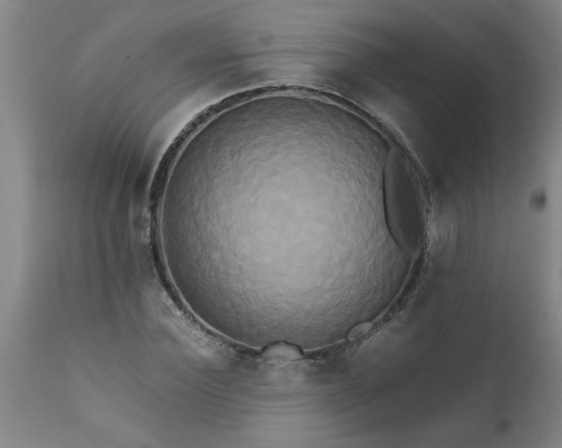 X0000111820924200907301253