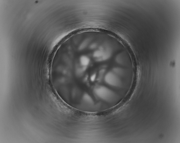 X0000111820925200907301253