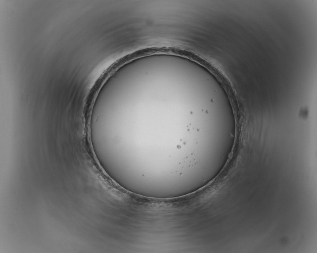 X0000111820927200907301253