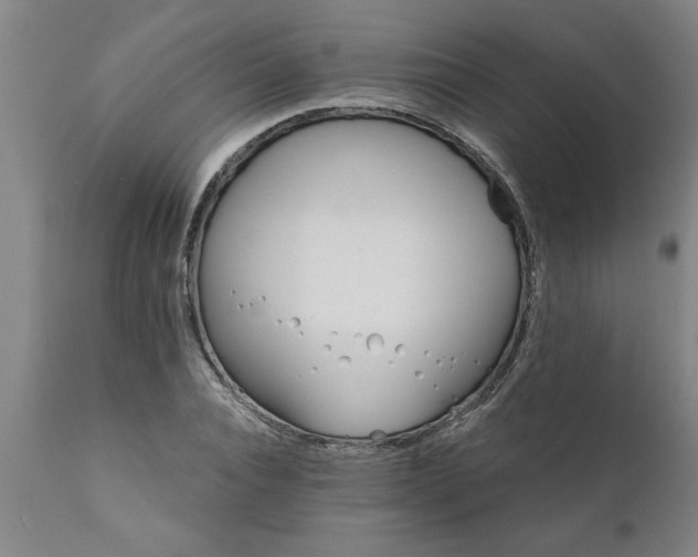 X0000111820928200907301253