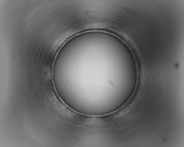 X0000111820929200907301253