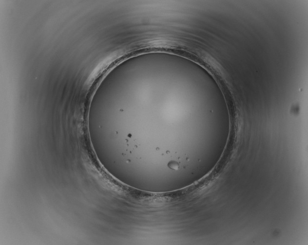 X0000111820930200907301253