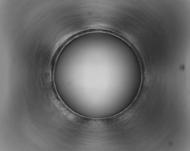 X0000111820931200907301253