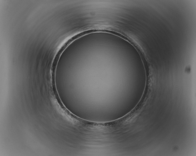 X0000111820932200907301253