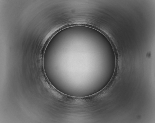X0000111820933200907301253