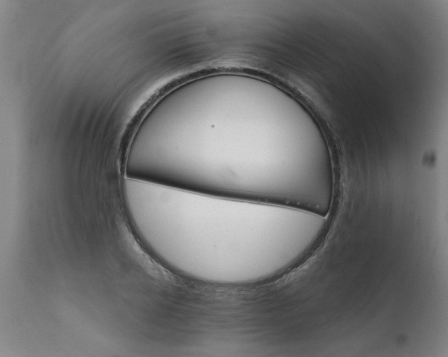 X0000111820934200907301253