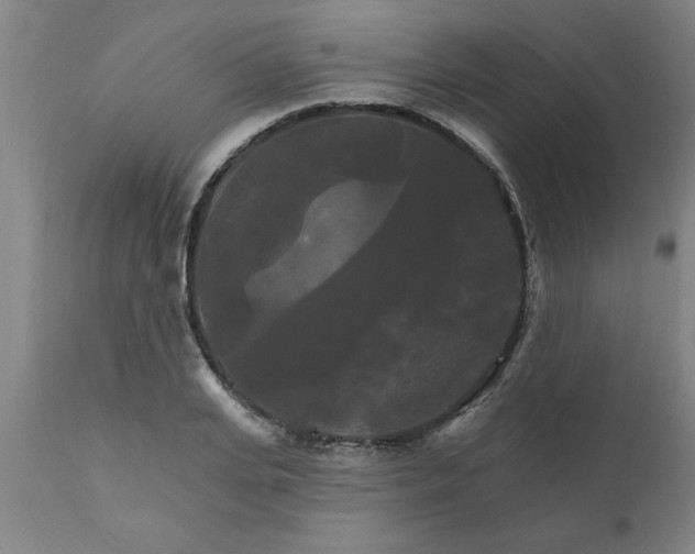 X0000111820935200907301253