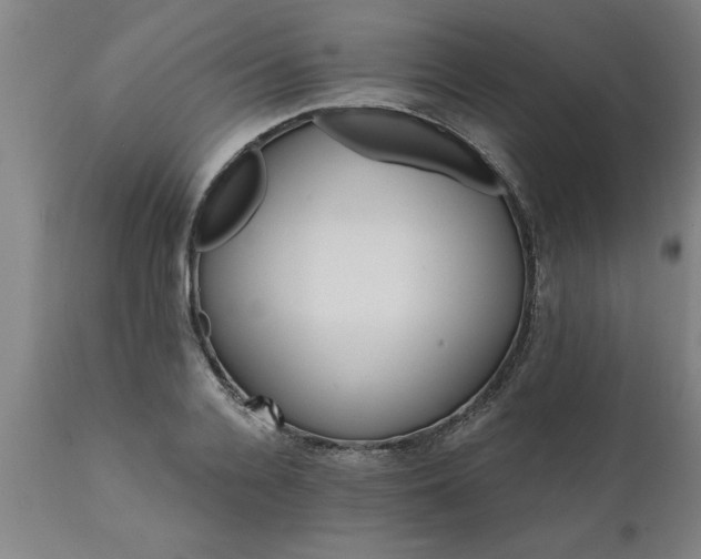 X0000111820936200907301253