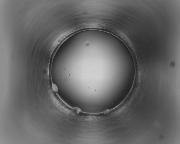 X0000111820938200907301253