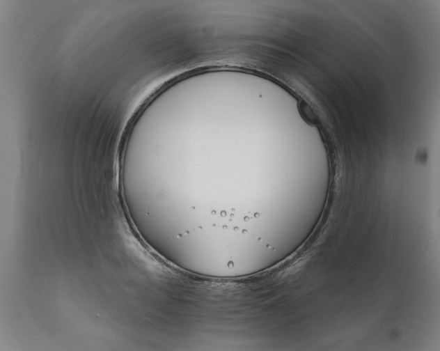 X0000111820940200907301253