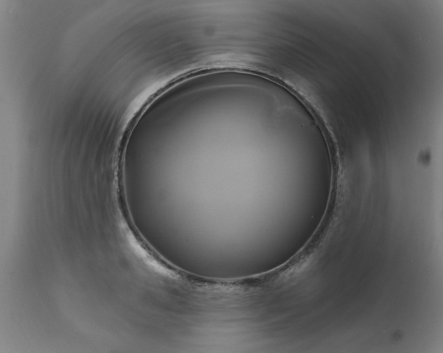 X0000111820941200907301253