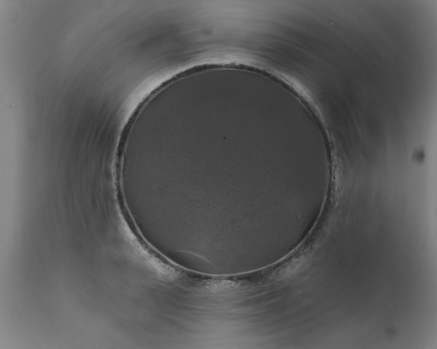 X0000111820943200907301253