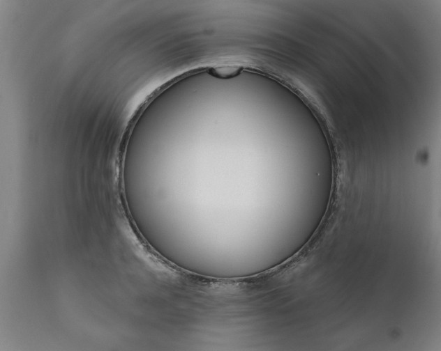 X0000111820944200907301253