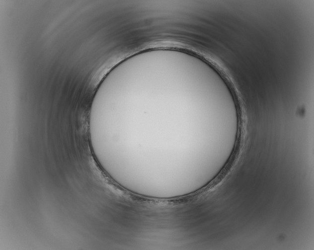 X0000111820945200907301253