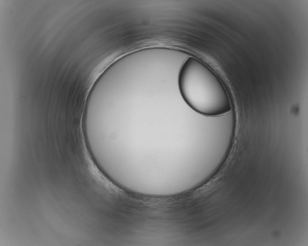 X0000111820946200907301253