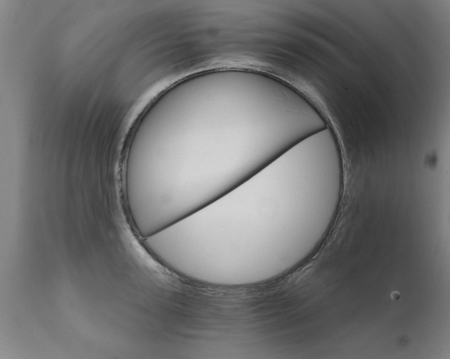 X0000111820947200907301253