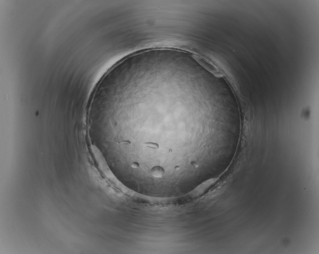 X0000111820948200907301253