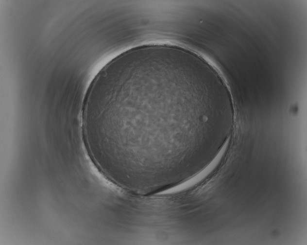 X0000111820951200907301253