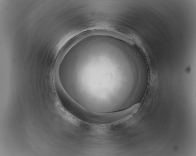 X0000111820952200907301253