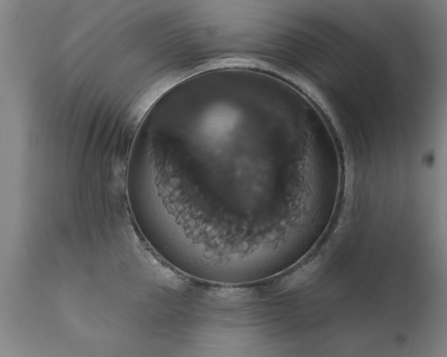 X0000111820953200907301253