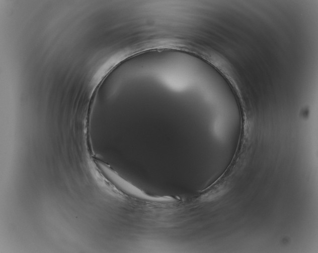 X0000111820954200907301254