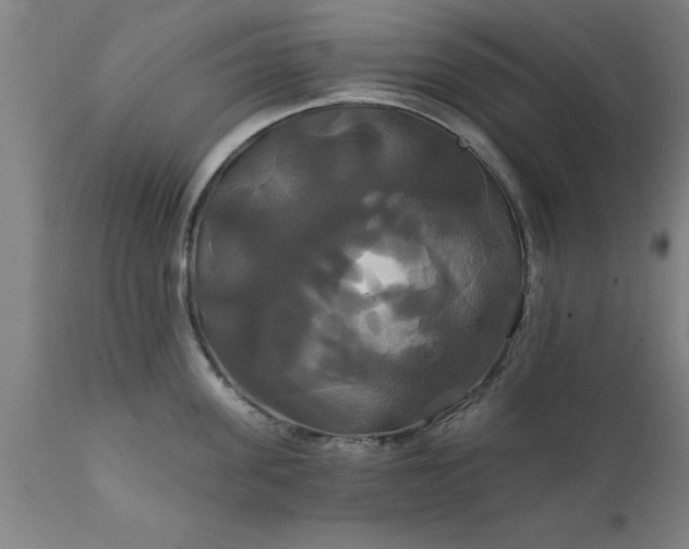 X0000111820955200907301254