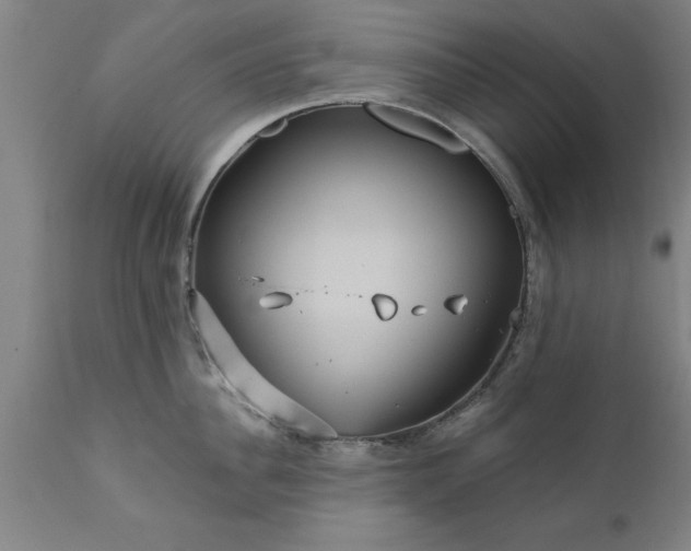 X0000111820956200907301254