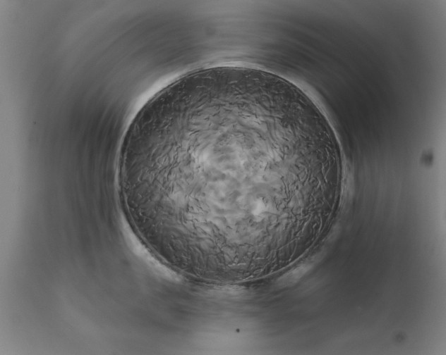 X0000111820957200907301254
