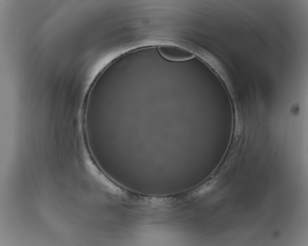X0000111820958200907301254