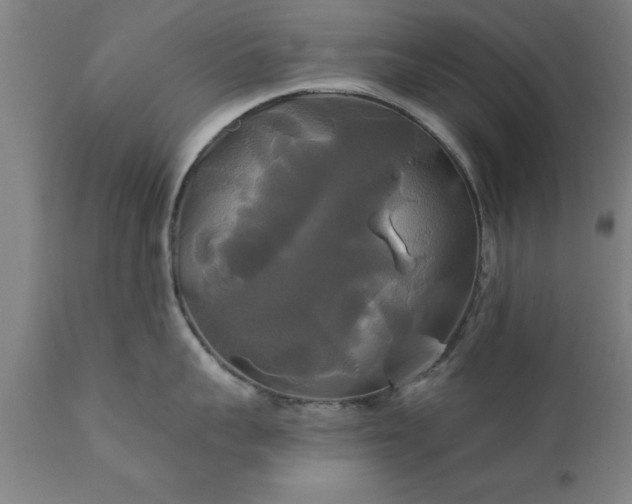 X0000111820959200907301254