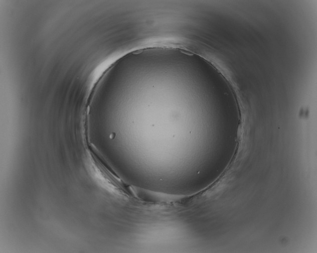 X0000111820960200907301254