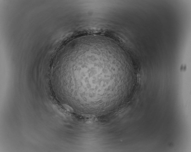X0000111820961200907301253