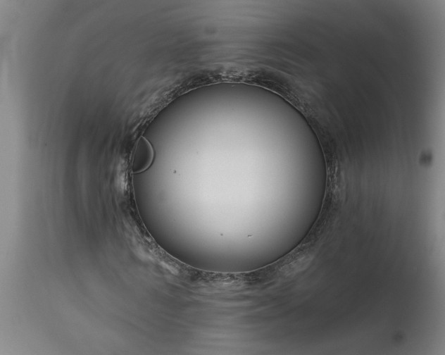 X0000111820962200907301253